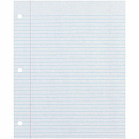 Decorol Recycled Filler Paper 500 Sheets - College Ruled Front Ruling - 0.28" Ruled - Red Margin - 3 Hole(s) - Letter - 8 1/2" x 11" Sheet Size - White Paper - Eco-friendly, Recyclable, Acid-free, Chlorine-free, Hole-punched - Recycled - 500 / Pack (2417)