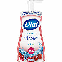 Dial Power Berries Foam Soap Power Berries Scent - 10 fl oz - Pump Bottle Dispenser - Bacteria Remover - Hand, Skin - Antibacterial - Red - Pleasant Scent - 1 Each (34727)