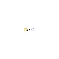 Perle Extendend Temperature Power Adapter - power adapter