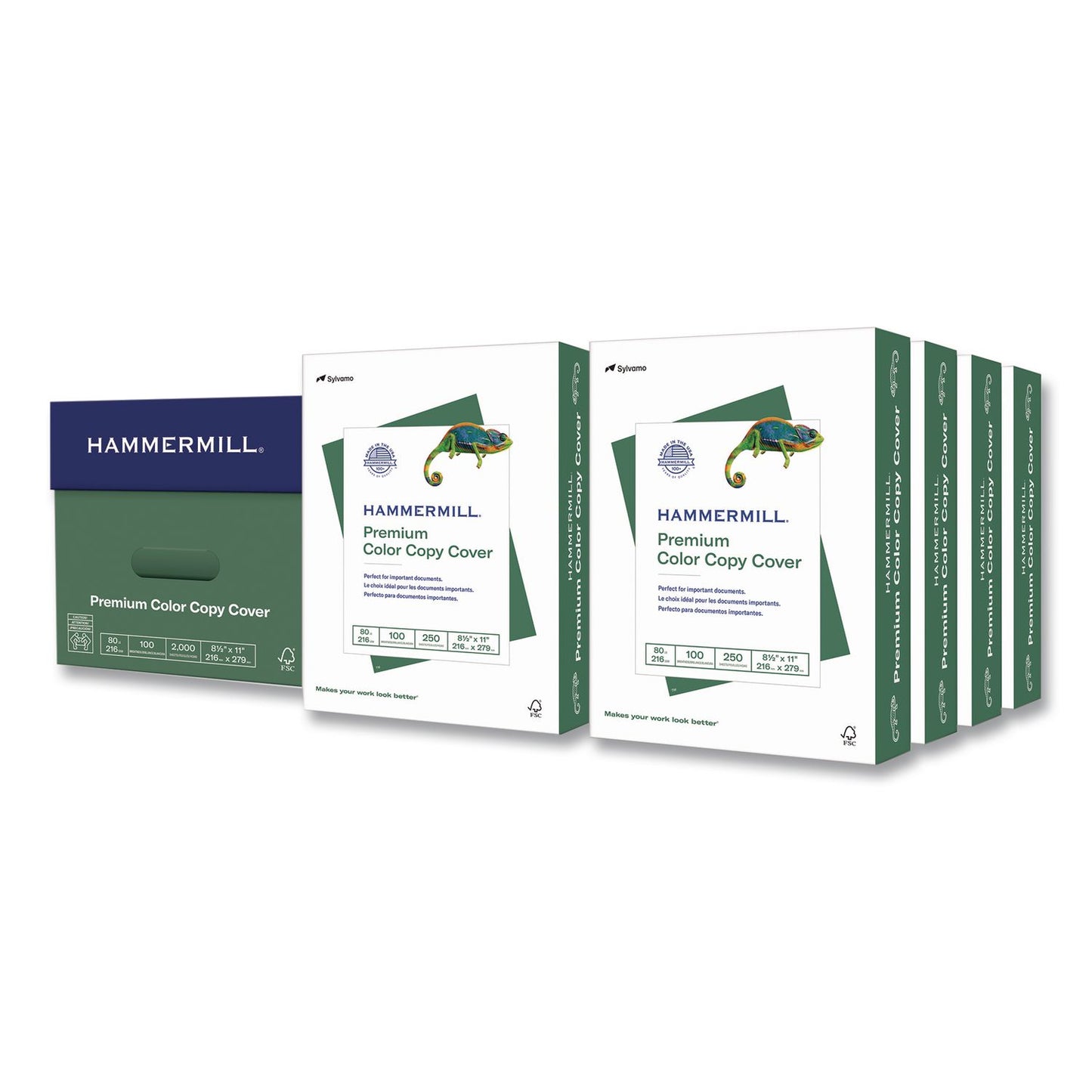 Hammermill Premium Color Copy Cover, 100 Bright, 80 lb Cover Weight, 8.5 x 11, Photo White, 250 Sheets/Ream, 8 Reams/Carton (120023CT)