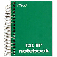 Mead Fat Lil' Notebook 200 Sheets - Wire Bound - 4" x 5 1/2" Sheet Size - White Paper - Assorted Cardboard Cover - Perforated - 1 Each (45390)