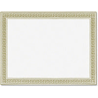 FranklinCovey Geographics Gold Foil Stamped Flourish Design Award Certificate 24 lb Basis Weight - 8.5" Width x 11" Length - Inkjet, Laser Compatible - White Border - Parchment Paper - 12 / Pack (45492)