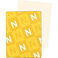 Exact Vellum Bristol Paper - Ivory Letter - 8 1/2" x 11" - 67 lb Basis Weight - Heavyweight, Durable, Quick Drying, Acid-free - Ivory - 250 / Pack (82361)