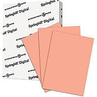 Springhill Multipurpose Cardstock - Salmon 92 Brightness - Letter - 8 1/2" x 11" - 110 lb Basis Weight - Smooth - Salmon - 250 / Pack (085300)