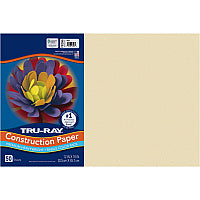 Tru-Ray Construction Paper Art Project, Craft Project - 12" Width x 18" Length - 76 lb Basis Weight - Ivory - Fiber, Sulphite - 50 / Pack (P103065)