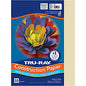 Tru-Ray Construction Paper Art Project, Craft Project - 9" Width x 12" Length - 76 lb Basis Weight - Ivory - Fiber, Sulphite - 50 / Pack (P103043)