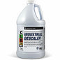 Jelmar Descaler (IIDESC1284P)