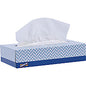 Genuine Joe Facial Tissue 2 Ply - WhiteBox - 100/Box - 30 / Carton (GJO26100)