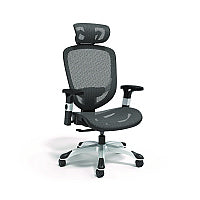 Alera Minerva Ergonomic Mesh Swivel Task Chair, Supports Up to 275 lb, 17.24 to 20.98 Seat Height, Black Seat/Back, Black Base (ALEMV41BME18)