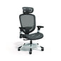 Alera Minerva Ergonomic Mesh Swivel Task Chair, Supports Up to 275 lb, 17.24 to 20.98 Seat Height, Black Seat/Back, Black Base (ALEMV41BME18)