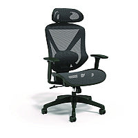 Alera Taunton Ergonomic Mesh Swivel Task Chair, Supports Up to 275 lb, 17.44 to 20.98 Seat Height, Black Seat/Back, Black Base (ALETN41BME18)