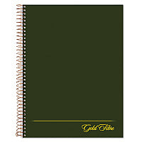 Ampad Gold Fibre Wirebound Project Notes Book, 1-Subject, Project-Management Format, Green Cover, (84) 9.5 x 7.25 Sheets (20816)