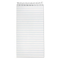 Earthwise by Ampad Recycled Reporter's Notepad, Gregg Rule, White Cover, 70 White 4 x 8 Sheets (25280)