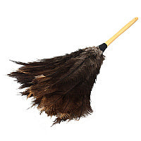 Duster Ostrich Feather 23 Inch, Case Of 12 (4603)