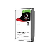 Seagate IronWolf ST12000VN0008 - hard drive - 12 TB - SATA 6Gb/s