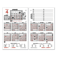 AT-A-GLANCE Burkhart's Day Counter Desk Calendar Refill, 4.5 x 7.38, White Sheets, 12-Month (Jan to Dec): 2026 (E71250)