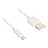 B3E Lightning cable - Lightning / USB - 36 in
