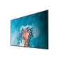Hisense 100DM66E M Series - 100" LED-backlit LCD display - 4K - for digital