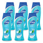 Dial Body Wash, Spring Water Scent, 16 oz, 6/Carton (02653)