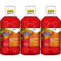 CloroxPro Fraganzia Multi-Purpose Cleaner Concentrate, Citrus Blossom Scent, 175 oz Bottle, 3/Carton (60615CT)