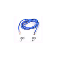 Belkin Cable;50ft;blue;level5 (A3L79150BLU)