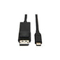 Tripp Lite Usb C To Displayport Adapter Locking 6ft (U444006DPBE)