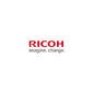 Ricoh 817161 Ink Cartridges